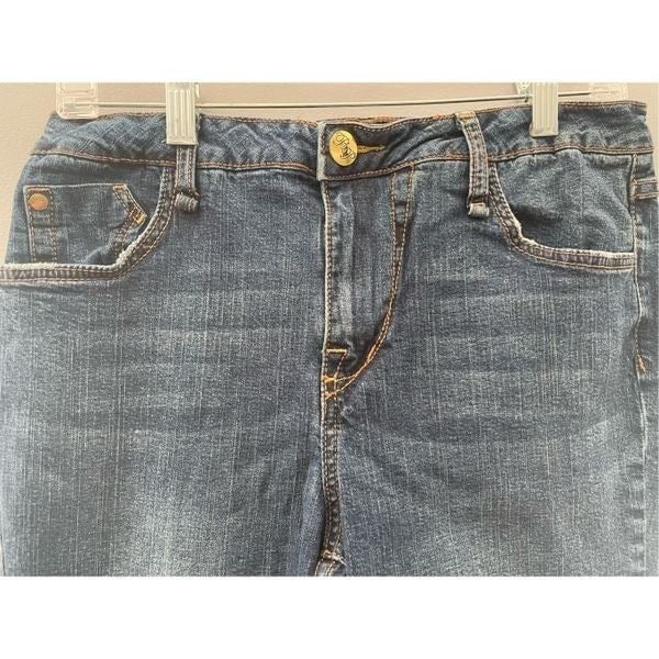 Exclusive Phat Fashions Silver Label Jeans, size 14w gQtHLxTnw Hot Sale