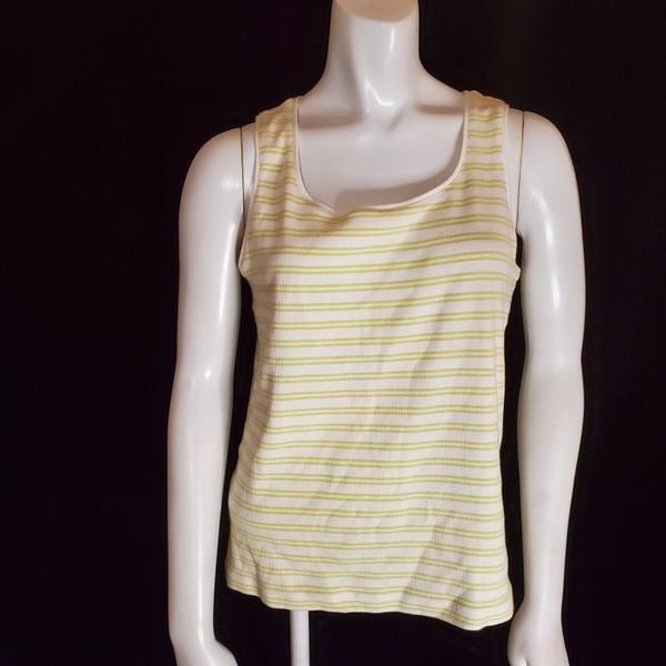 Nice Chico´s The Ultimate Tee White & Green Striped Tank Top (2) FXzSUyg78 Hot Sale