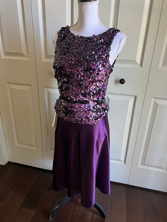 Great NWT JS Boutique purple sequins shimmery top and satin skirt set size S kVTup1Ou7 all for you