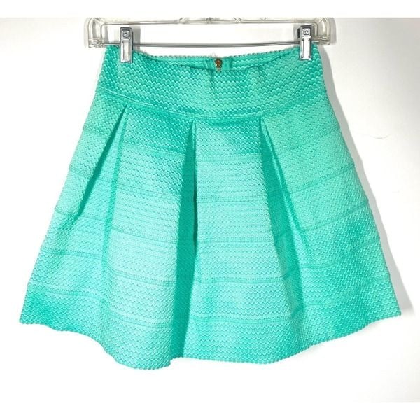 Promotions  Francesca Dina Be Sea Foam Green A Line Texture Pleated Stretch Mini Skirt L GCiu10twy New Style