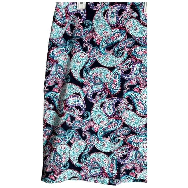 Simple Talbots A-Line Skirt Women’s Size 12 Paisley Knee Length Back Zip Colorful FvdNKapk9 Novel 